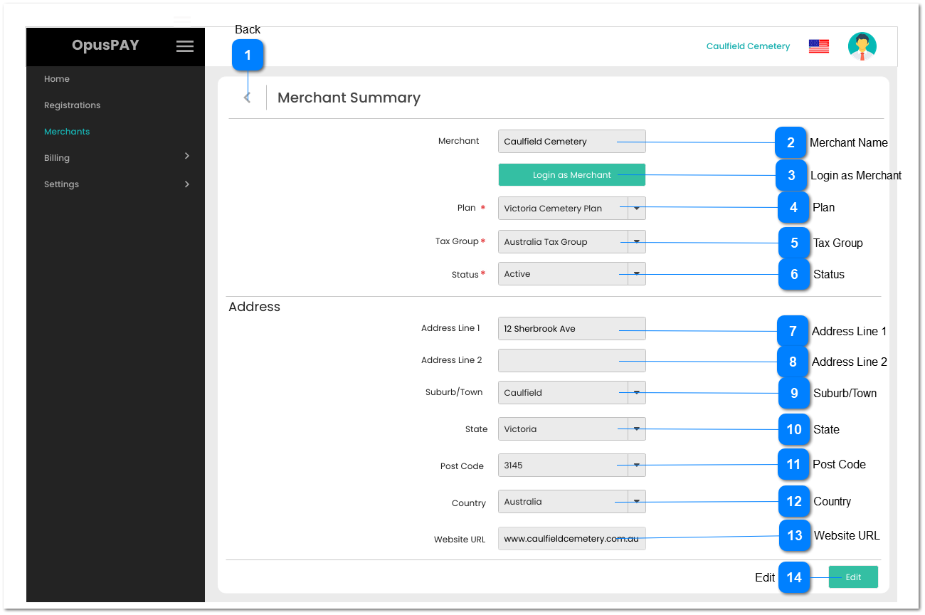 Merchant Summary - View