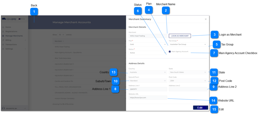 Merchant Summary - View