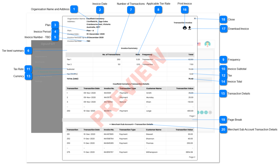 Preview Invoice Details