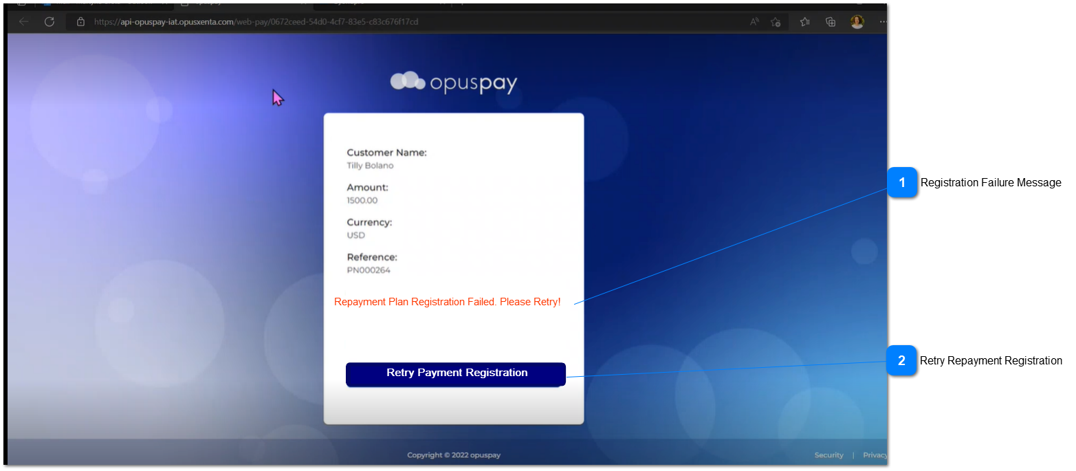 Retry Repayment Plan