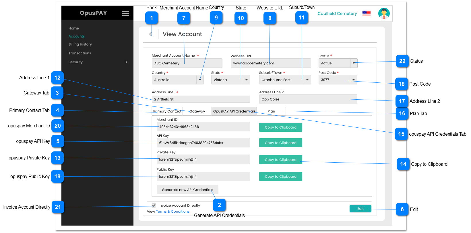 View Account - opuspay API Credentials