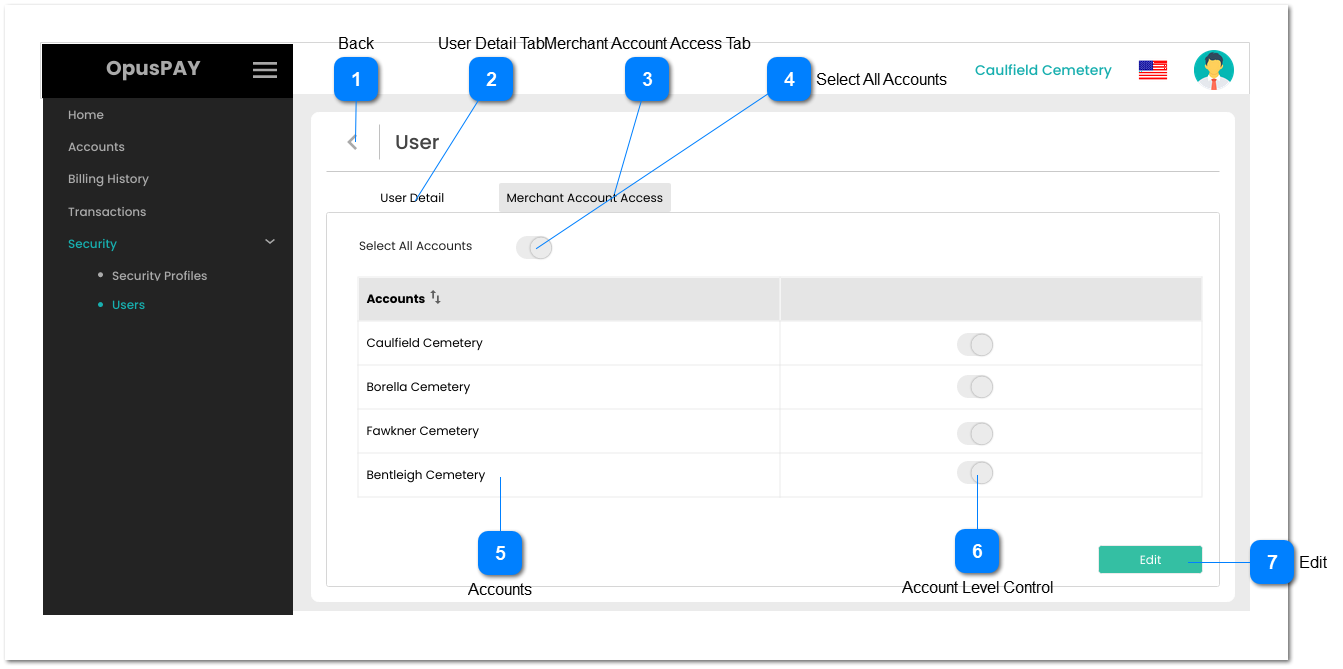 View User (Merchant Account Access)